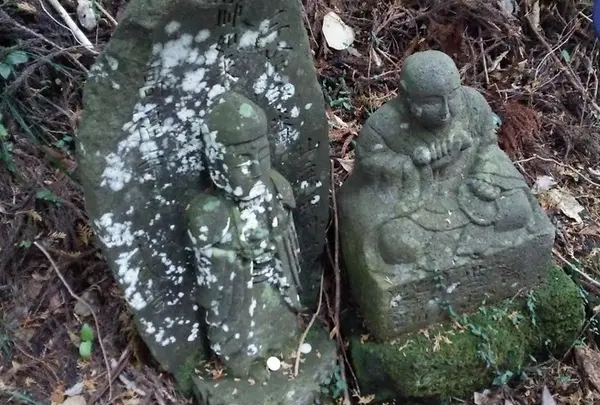 満願寺の写真・動画_image_58764