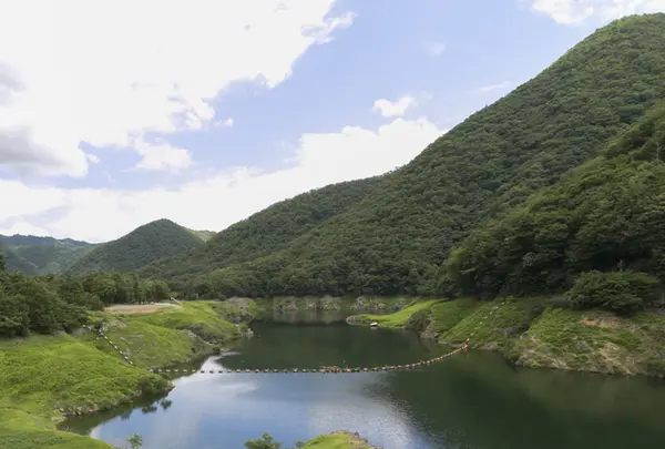 大野ダム公園の写真・動画_image_210135