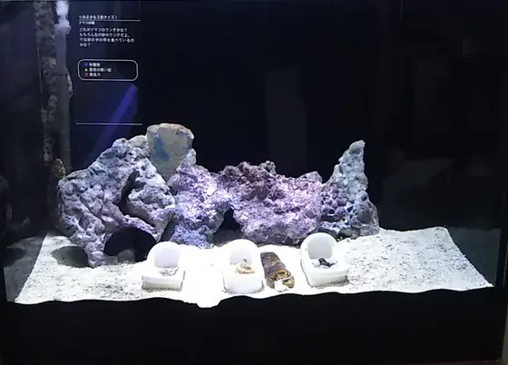 便器