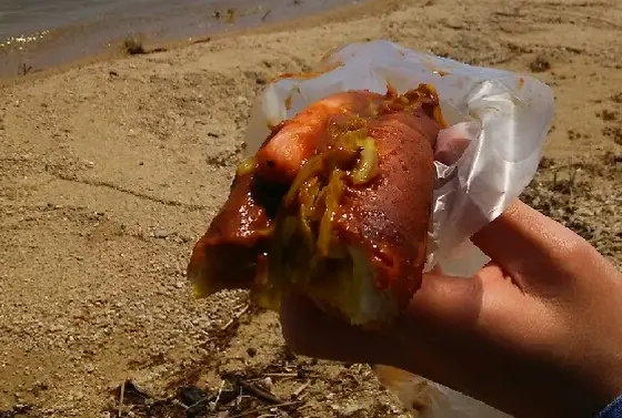琵琶湖畔で46年