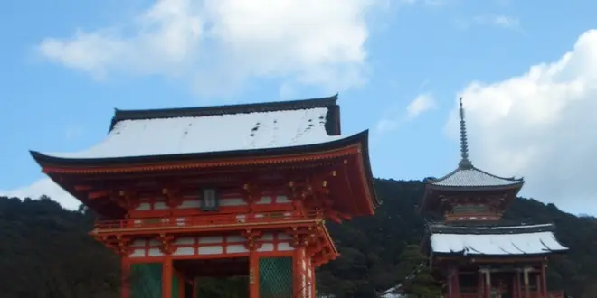 清水の舞台から飛び降りる思い？京都・祇園界隈を練り歩く