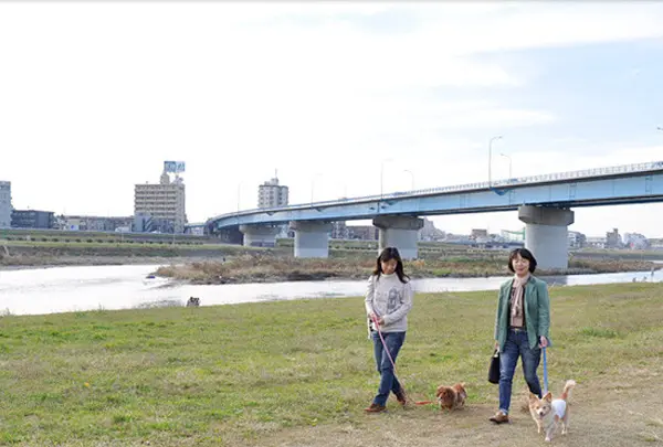 二子玉川　河川敷