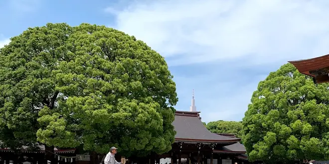 東京お試しお出かけプラン