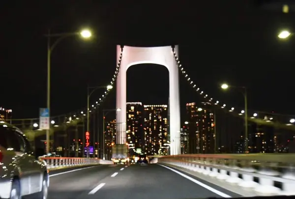 レインボーブリッジの写真・動画_image_106049