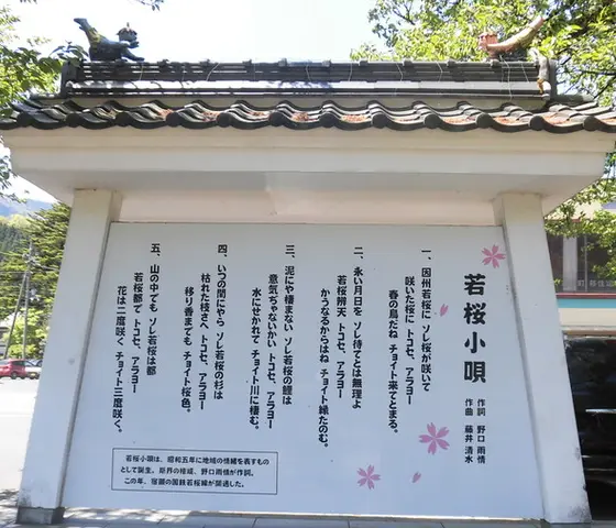 若桜小唄