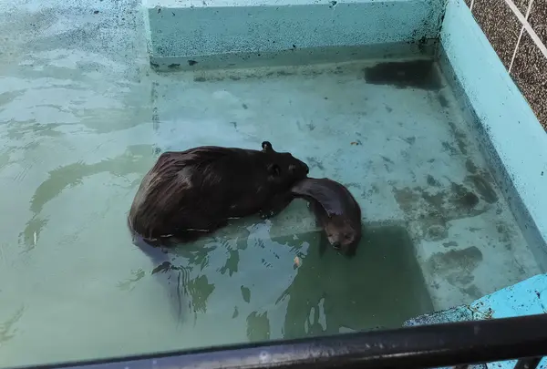 帯広動物園の写真・動画_image_437226
