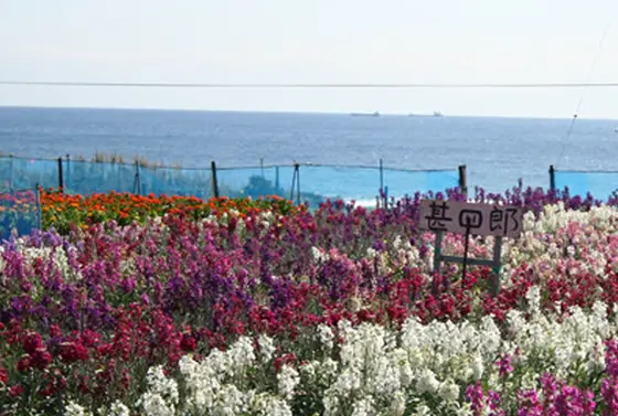 和田浦海岸