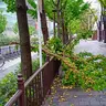 クワワイカ