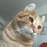 しんば