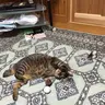 よっさん