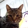なお