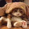 ゆっと