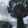 みかん