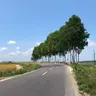 あきなん