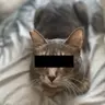むのひと