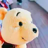 まめまめ