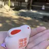 海月