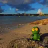 ぴょん