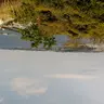 ゆゆゆ