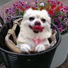 こづ