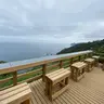 低頻度旅行