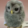 くまやんパン