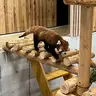 まみ