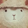 sakino