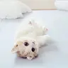 ばななっとう710