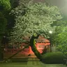 谷根千住み