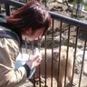 きょん