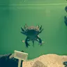 いった