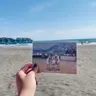 みのる