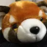 kotaro