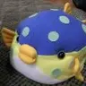 おさかなくん