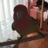 みのり