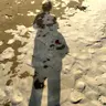 満月