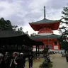 hisamiya3 