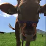 manpukjp