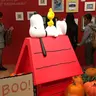 あみんこ