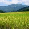 amainunishimizu