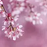日向ぼっこ