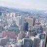 たけのこの里