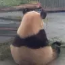 前川ヤスタカ