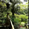 ゆきまる