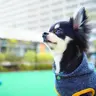 ひろ