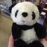 ぱんだ