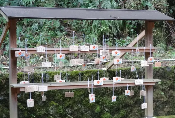 美保神社の写真・動画_image_149013