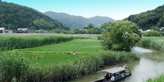 水郷の里 近江八幡を満喫・・・のはずが 時間切れ (T ^ T)