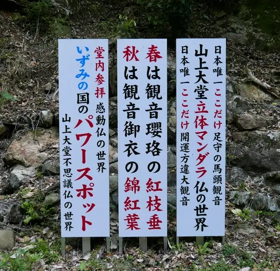 せっかくですから拝観を